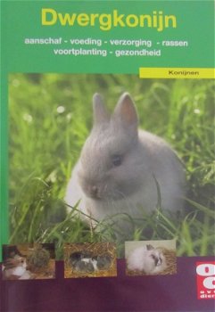 Dwergkonijn, Over dieren - 1