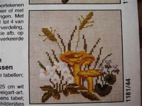 Zes borduurpatronen voor paddestoelen met grassen bloemen en bessen. - 6