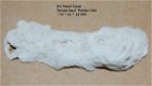 #1 Tampa Bay Fossiel koraal geagaatiseert - 2 - Thumbnail