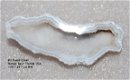 #2 Tampa Bay Fossiel koraal geagaatiseert - 1 - Thumbnail