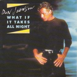 VINYLSINGLE * DON JOHNSON * WHAT IF IT TAKES ALL NIGHT * HOLLAND 7 - 1
