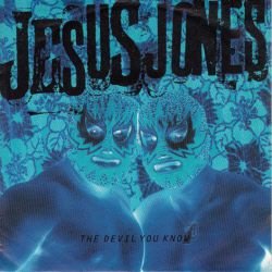 VINYLSINGLE * JESUS JONES * THE DEVIL YOU KNOW* GERMANY 7