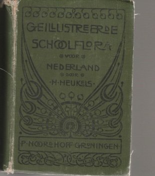 H. Heukels ; Geïllustreerde Schoolflora voor Nederland - 1