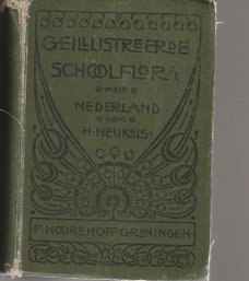 H. Heukels ; Geïllustreerde Schoolflora voor Nederland