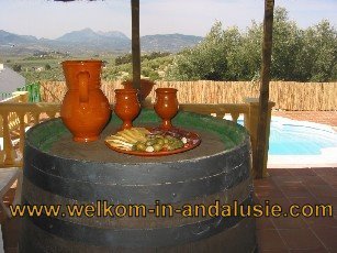 vakantiewoningen andalusie, 2,3,4,5,6,7,8,9 personen spanje - 7