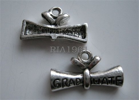 bedeltje/charm mannen : geslaagd rol - 21x12 mm - 1