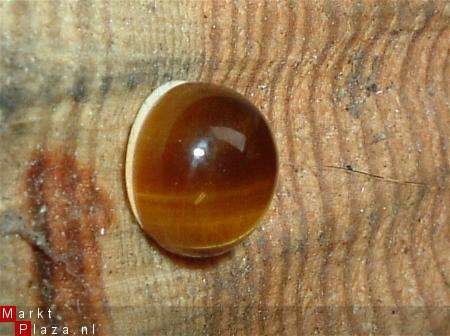 #188 Cabochon Tijgeroog Tigereye 8 MM - 1