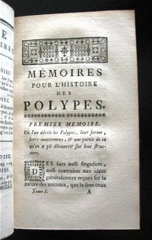 Trembley 1744 Genre de Polypes d'eau Douce Zoetwaterpoliep - 4