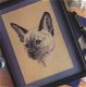 Borduurpatroon 7429 siamese kat - 1 - Thumbnail