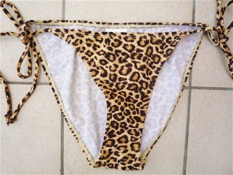 Nieuw-Bikini broeje in luipaard-medium - 1