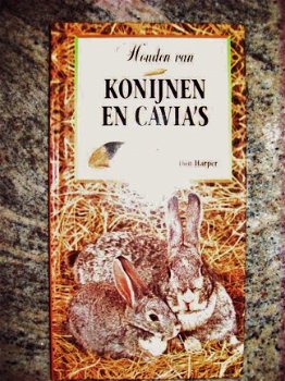 Nieuw-Houden van cavias en konijnen - 1