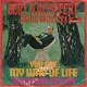 VINYLSINGLE * BERT KAEMPFERT * MY WAY OF LIFE * GERMANY 7