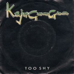 VINYLSINGLE * KAJAGOOGOO * TOO SHY * HOLLAND 7