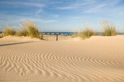 Zin om hier op het strand te liggen? - 1