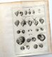 Histoire naturelle du Sénégal 1757 Adanson 1e druk - Afrika - 5 - Thumbnail