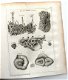 Histoire naturelle du Sénégal 1757 Adanson 1e druk - Afrika - 6 - Thumbnail