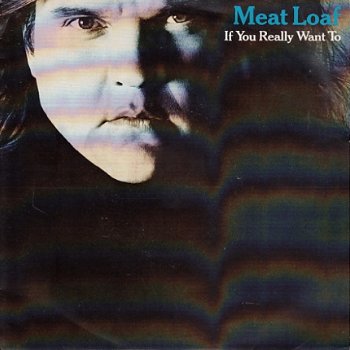 VINYLSINGLE * MEATLOAF * IF YOU REALLY WANT TO * HOLLAND 7