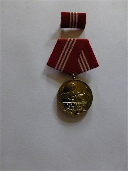 Trouwe Dienst medaille kampgroepen - 1
