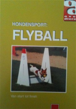 Hondensport Flyball, Over dieren - 1