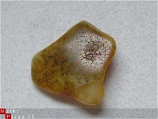#18 Barnsteen, Trommelsteen Soil Amber tumbled stone