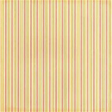 NIEUW vel scrappapier Coral Couture NR 22 Coral Stripes DCWV