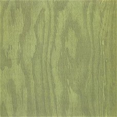 NIEUW textured scrappapier Latte NR 13 Green Grain DCWV