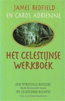 Het Celestijnse werkboek - 1