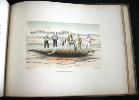 Sketches in the Soudan 1886 Verner Soedan Afrika - 1