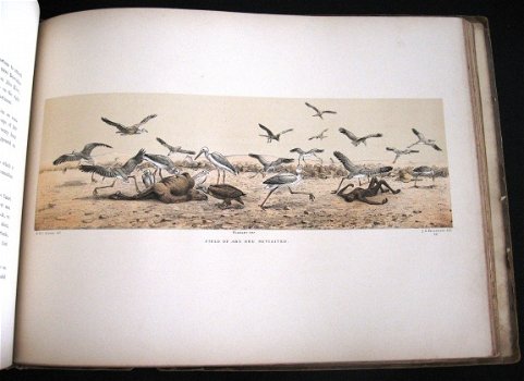 Sketches in the Soudan 1886 Verner Soedan Afrika - 6