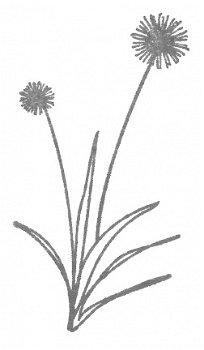 NIEUW cling rubber stempel Spring Dandelions van Unity Stamp - 1