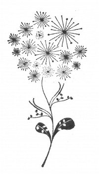 NIEUW cling rubber stempel Spring Starburst Flower van Unity Stamp - 1