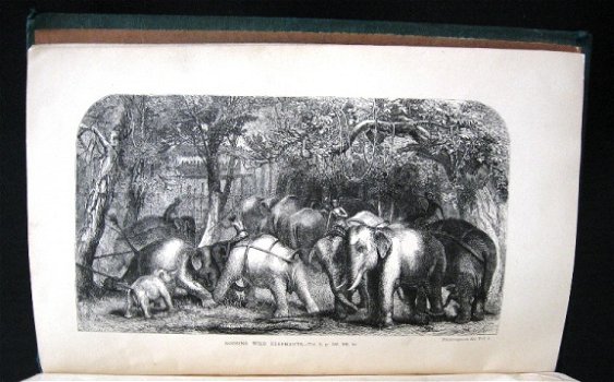 Ceylon An Account of the Island 1859 Tennent Sri Lanka - 4