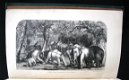 Ceylon An Account of the Island 1859 Tennent Sri Lanka - 4 - Thumbnail