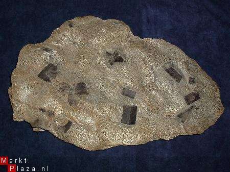 Plaat met Stauroliet Plate with Staurolite crystalls - 1