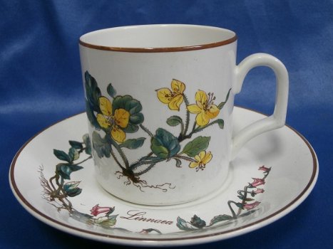 Villeroy en Boch kop en schotel botanica 23E - 1