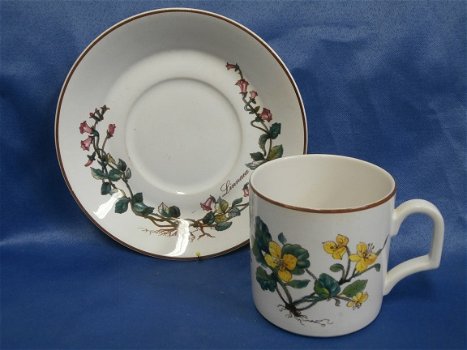 Villeroy en Boch kop en schotel botanica 23E - 2