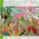 kaart seasons_B04 - 1 - Thumbnail