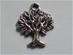 Silver tree - 1 - Thumbnail