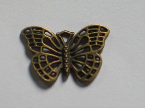 Bronze butterfly - 1