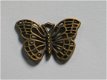 Bronze butterfly - 1 - Thumbnail