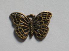 Bronze butterfly