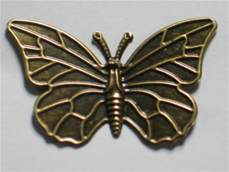 Bronze butterfly XL - 1
