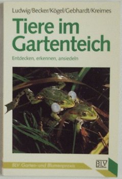 Tiere im Gartenteich - 1