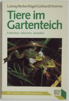 Tiere im Gartenteich