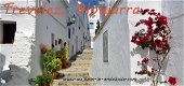 Andalusie spanje - 5 - Thumbnail
