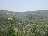 huisje in de natuur, Andalusie zuid spanje - 5