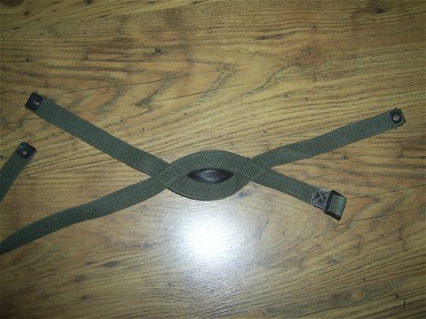 Para chinstrap - 1