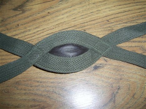 Para chinstrap - 3