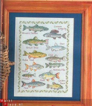 borduurpatroon 2892 vissenschilderij - 1