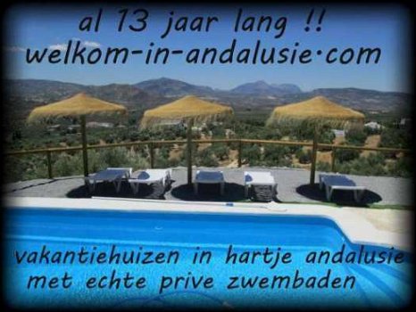 vakantiehuis in Andalusie met eigen zwembad - 8